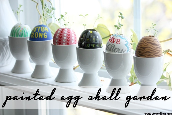 painted egg shell indoor garden