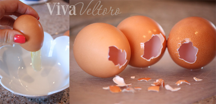 painted egg shell