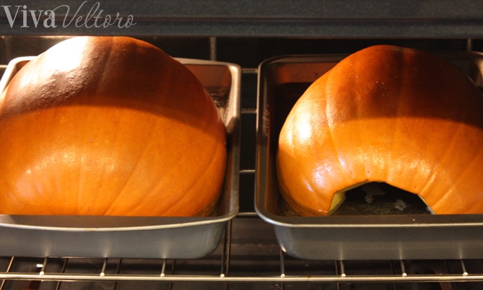 cook a fresh pumpkin