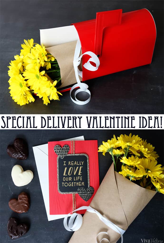 special delivery hallmark valentine's card