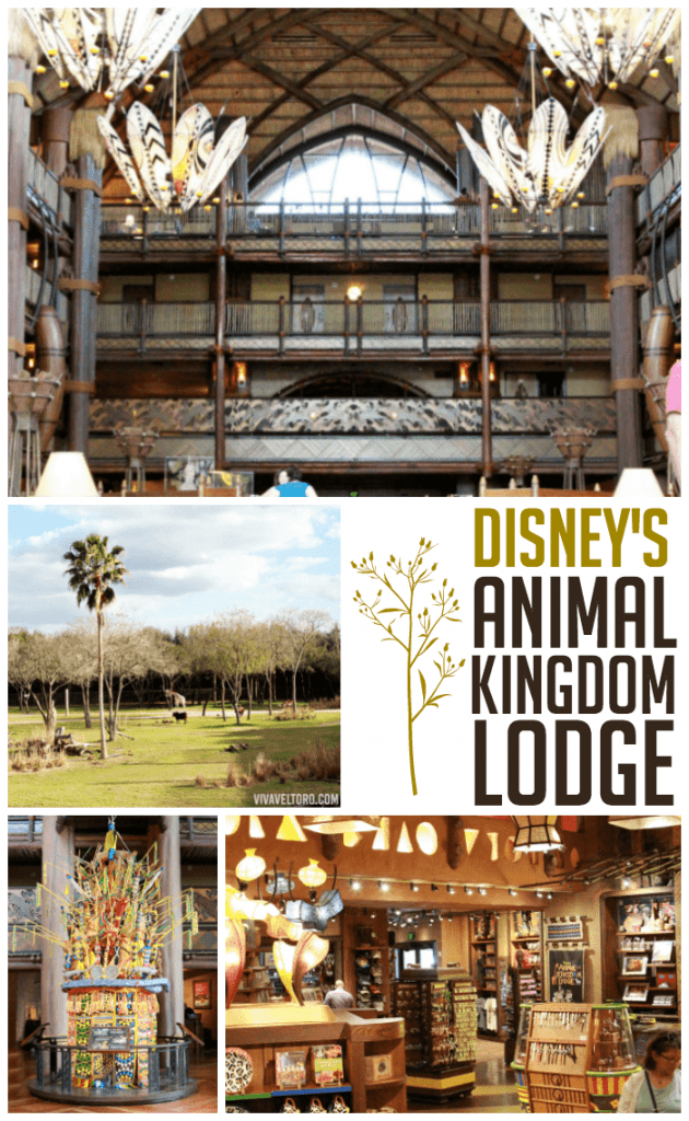 animal kingdom lodge