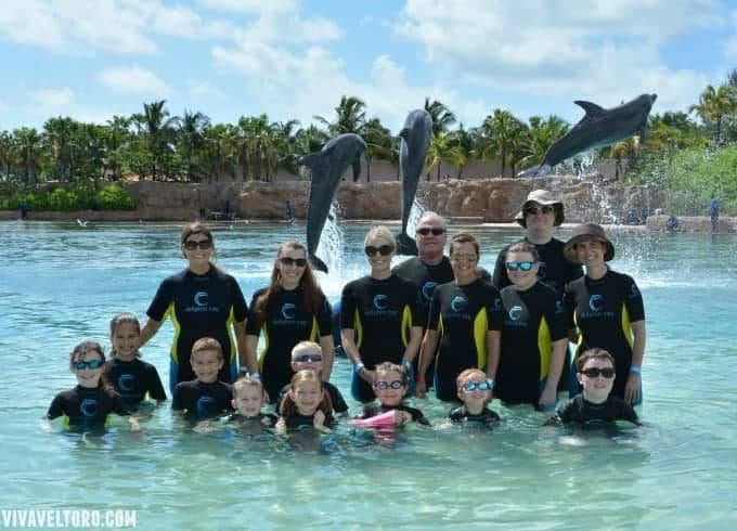 shallow water dolphin experience