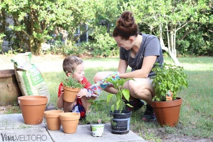 small garden for kids