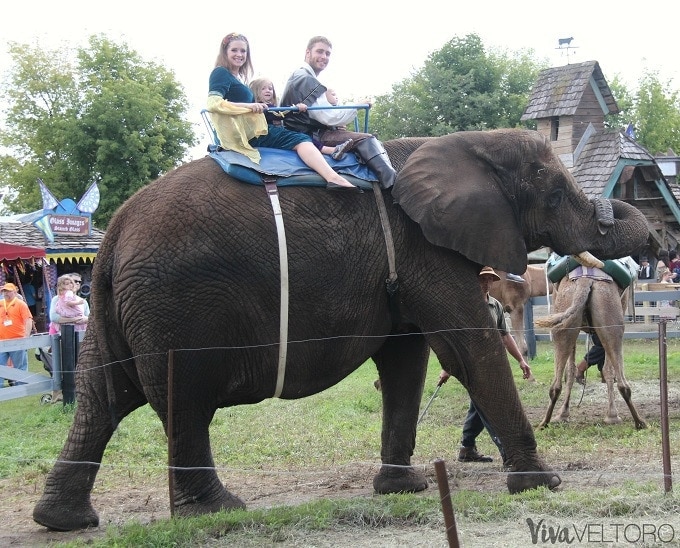 renaissance festival activities