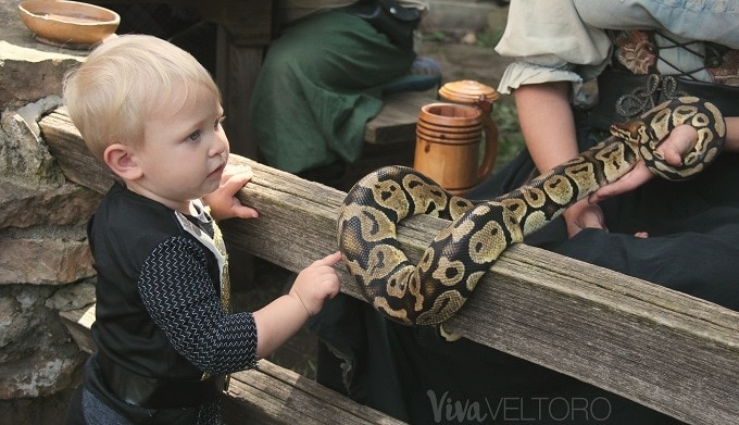 renaissance festival activities