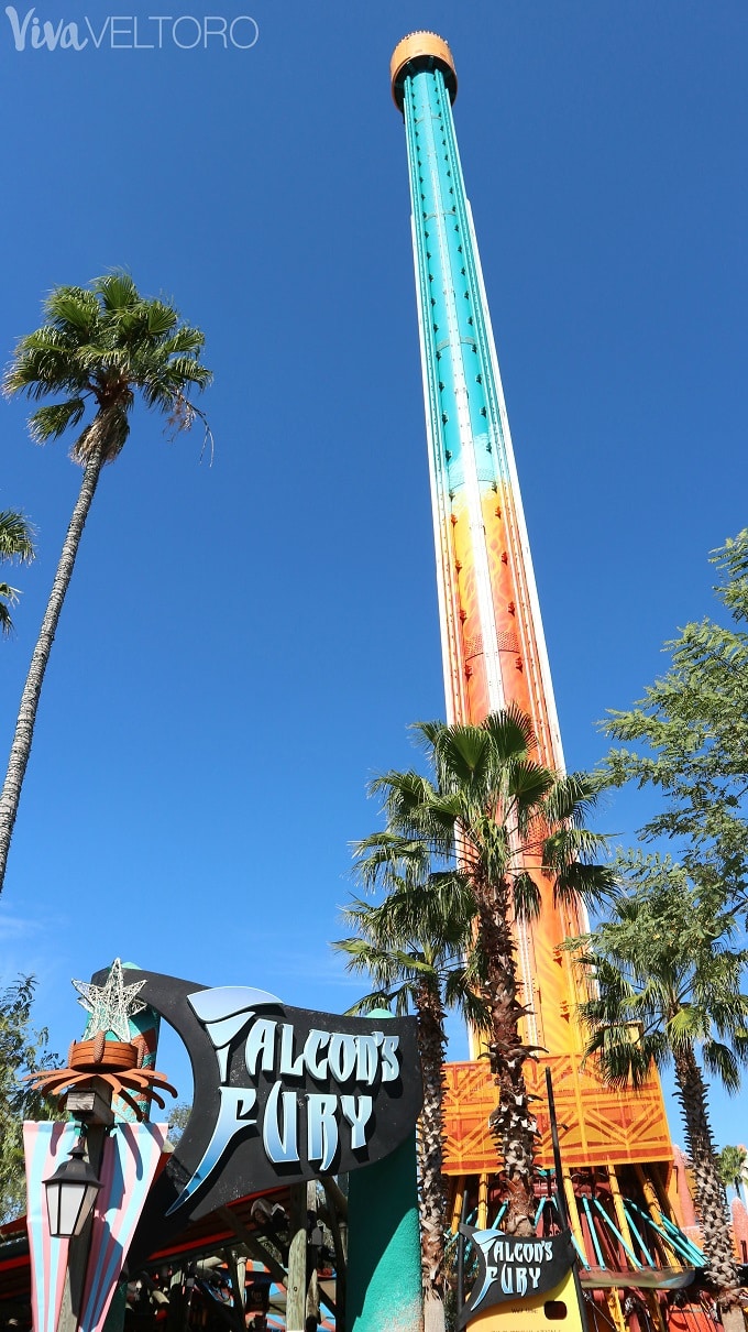 Busch Gardens Tampa Rides And Attractions For The Whole Family