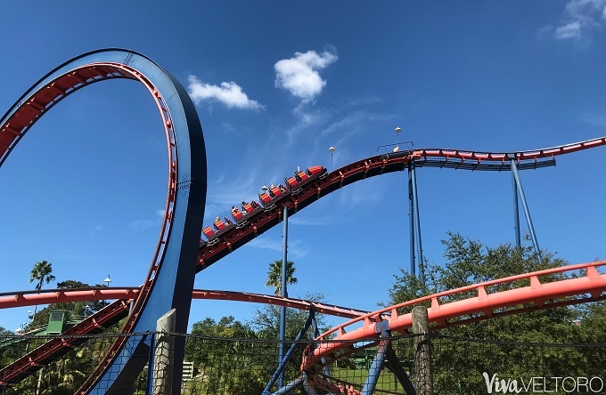 busch gardens tampa rides