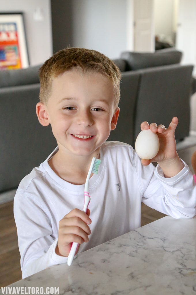 egg toothbrushing experiment