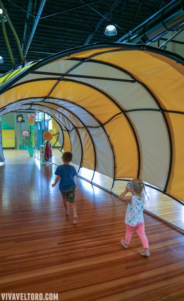 Best Things to Do in Ocala with Kids! Viva Veltoro