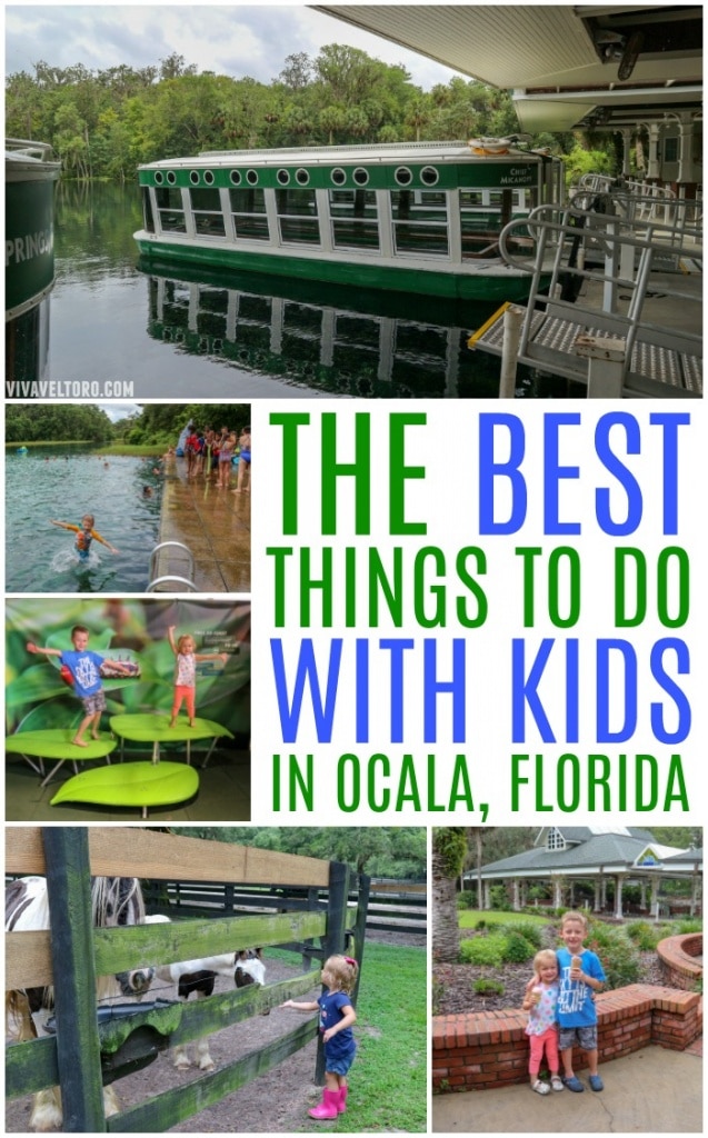 Best Things to Do in Ocala with Kids! Viva Veltoro
