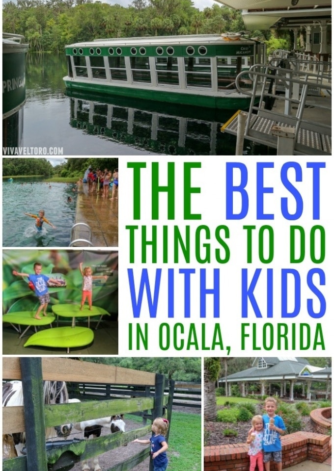 things to do in ocala