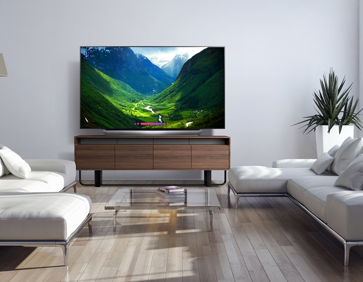 LG OLED 77 Inch TV