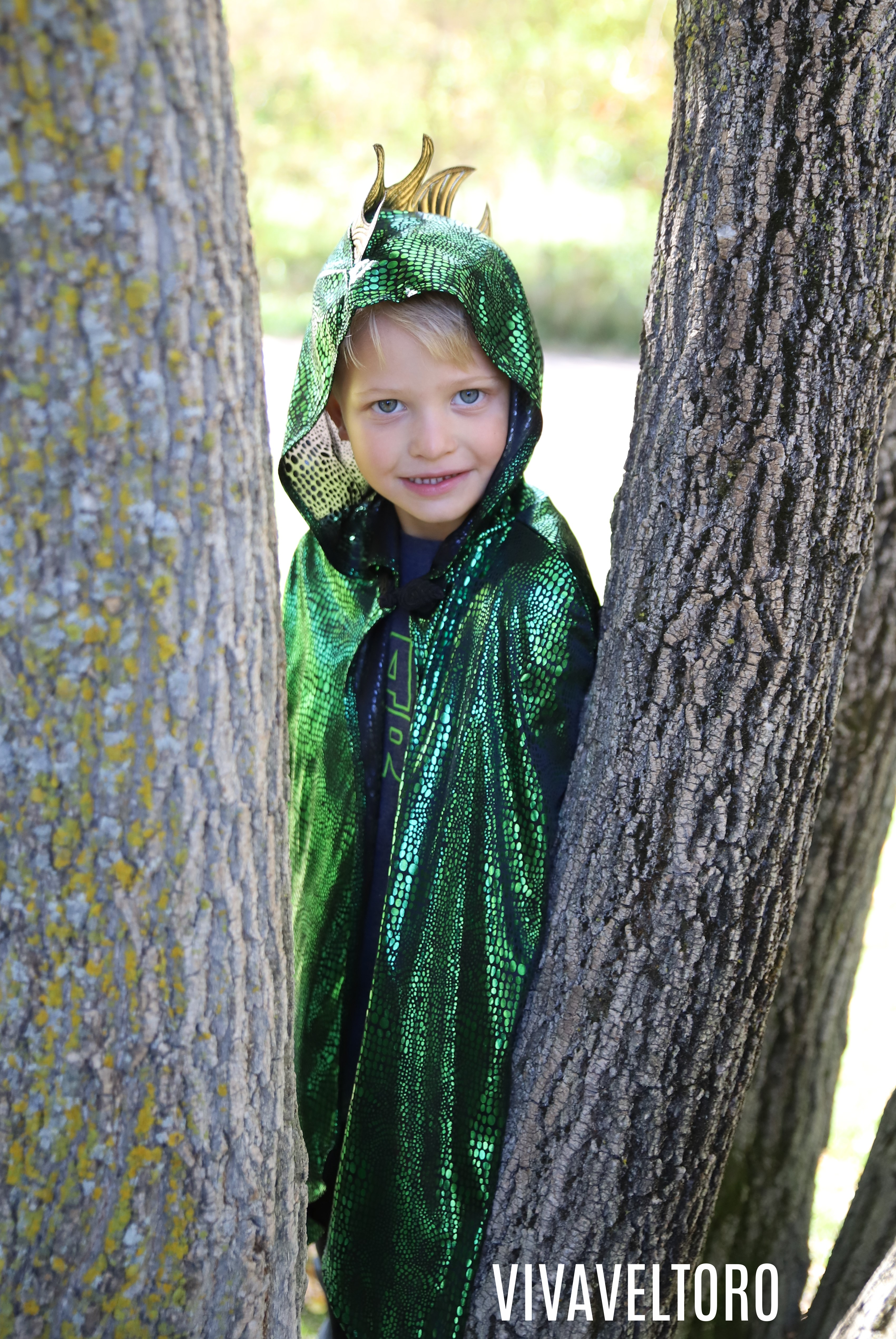 little adventures green dragon cloak